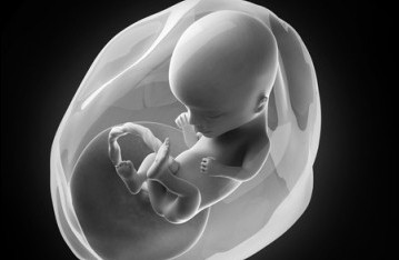 Hva vil vi med fosterdiagnostikken?