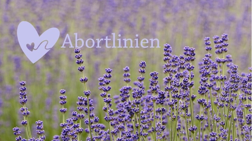 Abortlinieleder søges